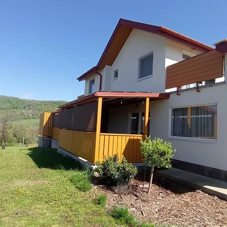 Borovilla Villa *